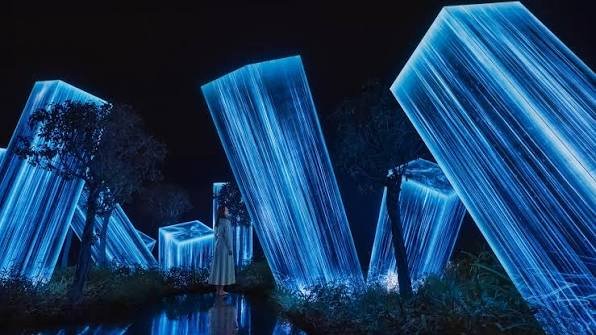 TeamLab Phenomena